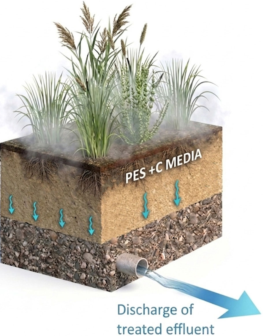 PES+C Treatment